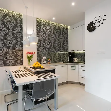 White Pearl * 克拉科夫